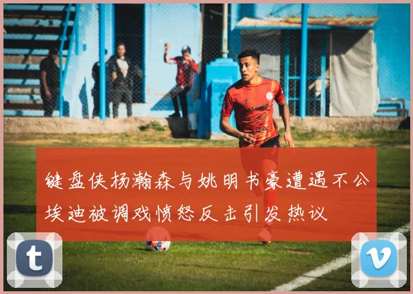 键盘侠杨瀚森与姚明书豪遭遇不公埃迪被调戏愤怒反击引发热议
