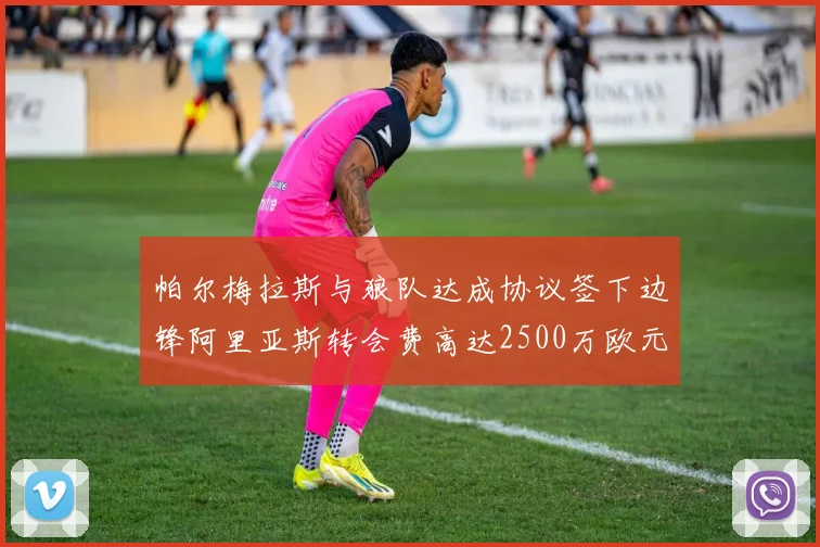 帕尔梅拉斯与狼队达成协议签下边锋阿里亚斯转会费高达2500万欧元