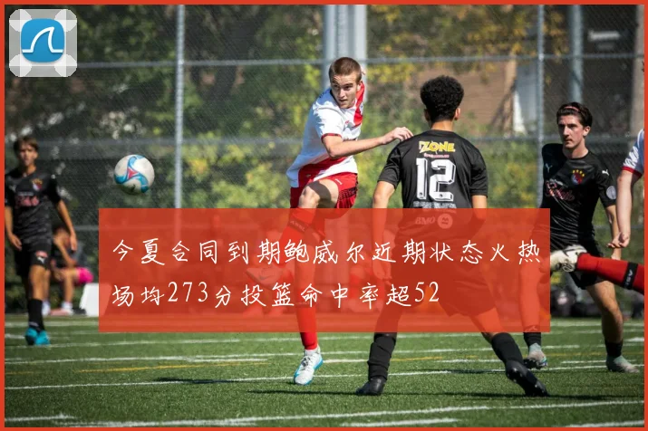 今夏合同到期鲍威尔近期状态火热场均273分投篮命中率超52