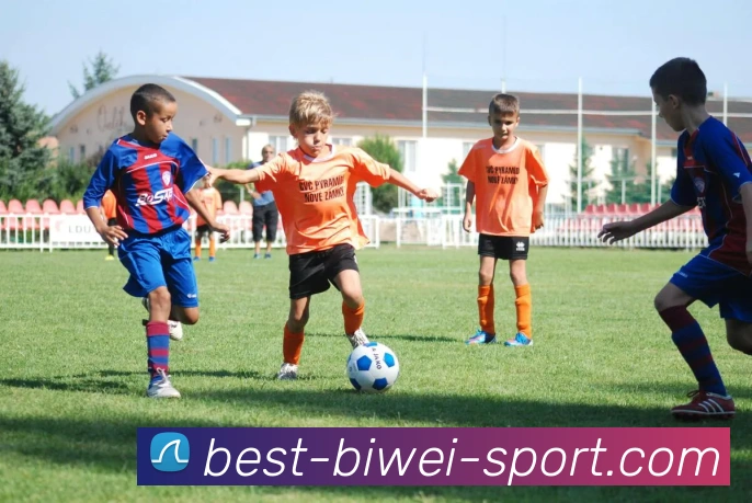 必威体育平台生态图