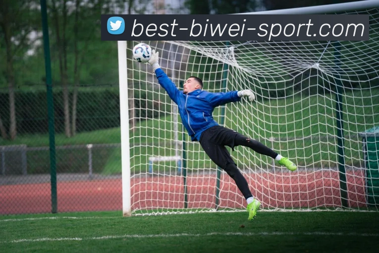 必威体育全站App